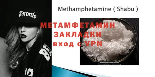 шишки Билибино