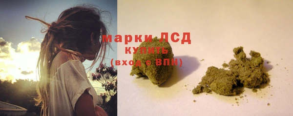 шишки Билибино