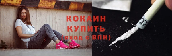 шишки Билибино