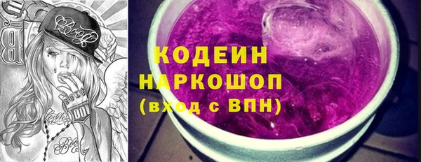 шишки Билибино