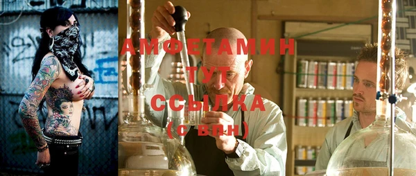 шишки Билибино