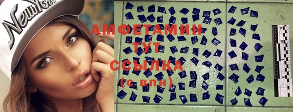 молекула духа Бикин