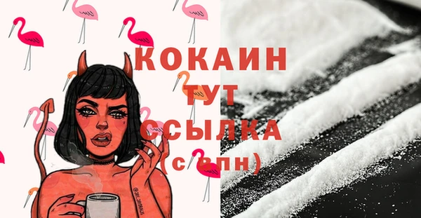 молекула духа Бикин