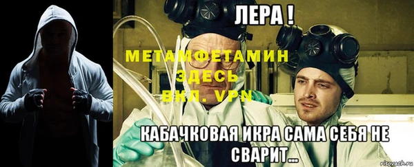 шишки Билибино