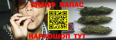 стаф Гусиноозёрск