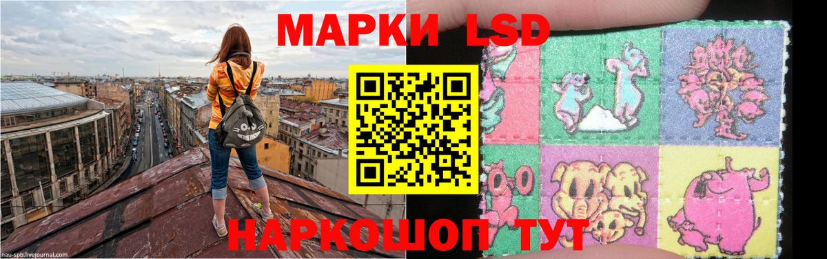 Кузнецк  ЛСД экстази кислота  ЛСД экстази ecstasy  Вход с VPN 