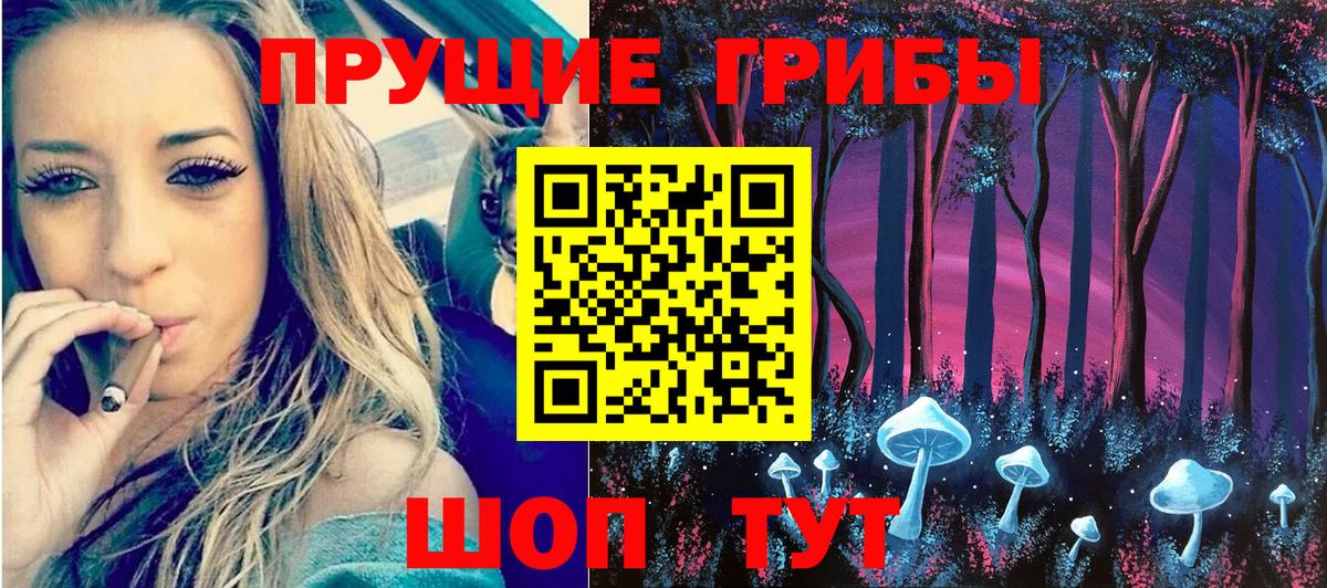 Кузнецк  Галлюциногенные грибы GOLDEN TEACHER  Вход с VPN  Псилоцибиновые грибы Magic Shrooms 