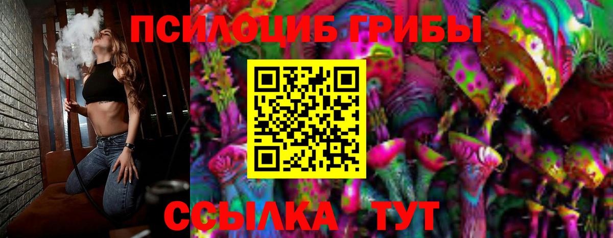 Псилоцибиновые грибы Psilocybine cubensis Кузнецк