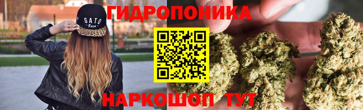 Каннабис SATIVA & INDICA Кузнецк