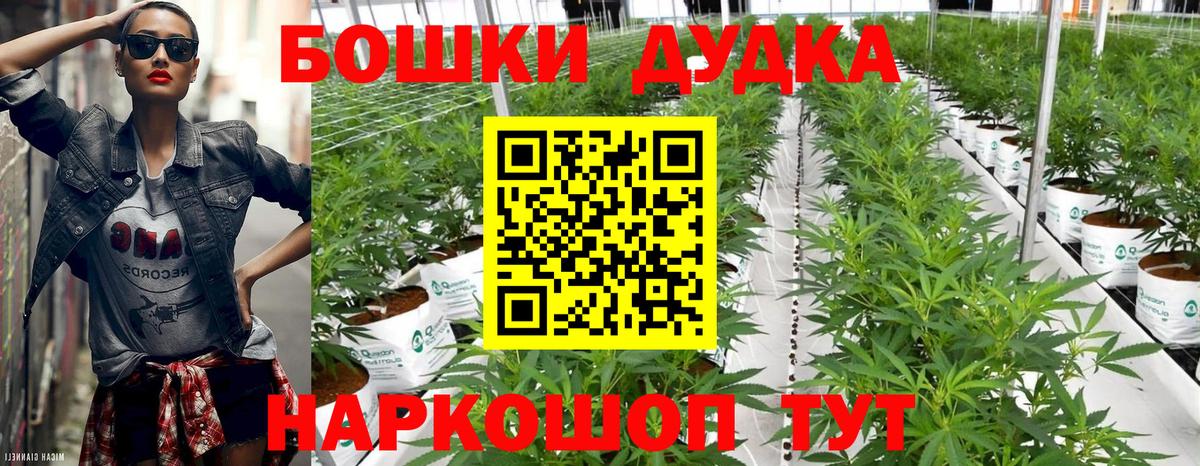 Канабис Amnesia Кузнецк